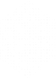 A polygon with squares